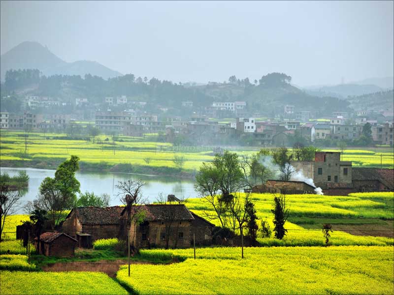 農(nóng)村土地綜合整治項目